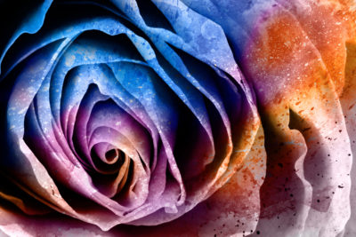 <br />
Photomanipulated HDR rose macro combined with a grunge textured abstract acrylic painting.
<br /><br />
I would like to thank to <b><u><a href='http://theparasiticbandaid.deviantart.com/' title='Lara Mukahirn' target='_blank'>Lara Mukahirn</a></u></b> for painting the original <b><u><a href='http://freestock.ca/abstract_g68-vibrant_abstract_acrylic_texture_p4095.html' title='Acrylic Painting' target='_blank'>acrylic abstract</a></u></b>. Please feel free to click on her name to visit more of her amazing work on deviantART.
<br /><br />
Available at web resolution under a Creative Commons license on condition of including credits and a link back to the <b><u><a href='http://freestock.ca/flowers_plants_g72-acrylic_rose_macro__hybrid_hdr_p4171.html' title='Vibrant Acrylic Rose' target='_blank'>same image</a></u></b> from my sister website <b><u><a href='http://freestock.ca' title='freestock.ca' target='_blank'>freestock.ca</a></u></b>. For purchasing a license of this image at much higher resolution or without credit requirements, please feel free to <b><u><a href='http://somadjinn.com/theme-options/contact/' title='contact' target='_blank'>contact me</a></u></b>, I am open to discuss fair pricing for using my work in a wide variety of applications.