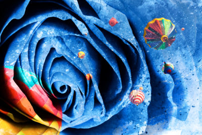 <br />
Mixed media photomanipulation combining a rose macro, vibrant hot air balloons and an abstract acrylic painting. 
<br /><br />
Special thanks to <b><u><a href='http://theparasiticbandaid.deviantart.com/' title='Lara' target='_blank'>Lara, aka TheParasiticBandaid</a></u></b> for painting the <b><u><a href='http://freestock.ca/abstract_g68-abstract_painting__acrylic_texture_p3991.html' title='Acrylic Painting' target='_blank'>acrylic parts</a></u></b> of this image. Feel free to click on her name to visit more of her amazing images from deviantART. 
<br /><br />
Available at web resolution under a Creative Commons license on condition of including credits and a link back to the <b><u><a href='http://freestock.ca/mixed_media_vexels_g100-abstract_rose_macro__acrylic_air_balloons_p4608.html' title='Acrylic Rose Balloons' target='_blank'>same image</a></u></b> from my sister website <b><u><a href='http://freestock.ca' title='freestock.ca' target='_blank'>freestock.ca</a></u></b>. For purchasing a license of this image at much higher resolution or without credit requirements, please feel free to <b><u><a href='http://somadjinn.com/theme-options/contact/' title='contact' target='_blank'>contact me</a></u></b>, I am open to discuss fair pricing for using my work in a wide variety of applications.