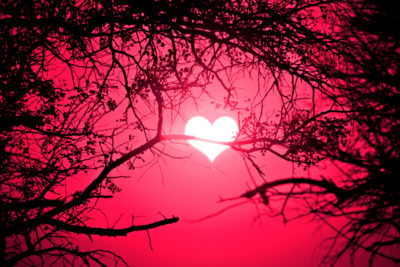 <br />
Photomanipulated sunrise forest scenery with the sun made to look like a heart and colorized pink for a more romantic atmosphere.
<br /><br />
Very special thanks to a fellow artist on deviantART that I commissioned and collaborated with to make this happen. You can find more of her works here: <b><u><a href='http://slight-art-obsession.deviantart.com/' title='Slight-Art-Obsession' target='_blank'>slight-art-obsession</a></u></b>
<br /><br />
Available at web resolution under a Creative Commons license on condition of including credits and a link back to the <b><u><a href='http://freestock.ca/photomanipulations_g84-pink_heart_sunrise_p2664.html' title='Pink Heart Sunrise' target='_blank'>same image</a></u></b> from my sister website <b><u><a href='http://freestock.ca' title='freestock.ca' target='_blank'>freestock.ca</a></u></b>. For purchasing a license of this image at much higher resolution or without credit requirements, please feel free to <b><u><a href='http://somadjinn.com/theme-options/contact/' title='contact' target='_blank'>contact me</a></u></b>, I am open to discuss fair pricing for using my work in a wide variety of applications.