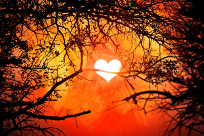 <br />
Revisitation of a photomanipulation called Pink Heart Sunrise. 
<br /><br />
Originally derived from a photo I took of a forest sunrise in Kruger National Park (South Africa), where my good friend <b><u><a href='http://slight-art-obsession.deviantart.com/' title='Slight-Art-Obsession' target='_blank'>Brin Kennedy</a></u></b> altered the shape of the sun to look like a heart. Further credits go to talented artists <b><u><a href='http://sirius-sdz.deviantart.com/' title='Sirius-sdz' target='_blank'>Sascha (aka Sirius-sdz)</a></u></b> who created the <b><u><a href='http://sirius-sdz.deviantart.com/art/Texture-369-398897093' title='Glowing Texture' target='_blank'>glowing texture</a></u></b> I applied around the sun heart, and <b><u><a href='http://theparasiticbandaid.deviantart.com/' title='Lara Mukahirn' target='_blank'>Lara Mukahirn (aka aka TheParasiticBandaid)</a></u></b> for painting the subtle <b><u><a href='http://freestock.ca/abstract_g68-abstract_painting__acrylic_texture_p3991.html' title='Acrylic Paint Spatters' target='_blank'>acrylic paint spatters</a></u></b> inside the glow. Feel free to click on their names to visit more of their wonderful works from deviantART. 
<br /><br />
Available at web resolution under a Creative Commons license on condition of including credits and a link back to the <b><u><a href='http://freestock.ca/photomanipulations_g84-brinspired_sunrise_p4318.html' title='Brinspired Sunrise' target='_blank'>same image</a></u></b> from my sister website <b><u><a href='http://freestock.ca' title='freestock.ca' target='_blank'>freestock.ca</a></u></b>. For purchasing a license of this image at much higher resolution or without credit requirements, please feel free to <b><u><a href='http://somadjinn.com/theme-options/contact/' title='contact' target='_blank'>contact me</a></u></b>, I am open to discuss fair pricing for using my work in a wide variety of applications.