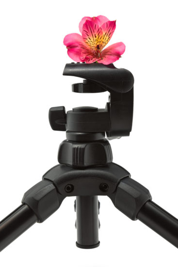 <br />
Close-up of a tripod with what I believe to be an alstroemeria flower on top and isolated on a white background. HDR composite from multiple exposures, with a more subtle effect than I usually apply just to extract more tonal details especially inside the flower.
<br /><br />
Available at web resolution under a Creative Commons license on condition of including credits and a link back to the <b><u><a href='http://freestock.ca/objects_g58-tripod_flower__hdr_p4543.html' title='Tripod Flower' target='_blank'>same image</a></u></b> from my sister website <b><u><a href='http://freestock.ca' title='freestock.ca' target='_blank'>freestock.ca</a></u></b>. For purchasing a license of this image at much higher resolution or without credit requirements, please feel free to <b><u><a href='http://somadjinn.com/theme-options/contact/' title='contact' target='_blank'>contact me</a></u></b>, I am open to discuss fair pricing for using my work in a wide variety of applications.