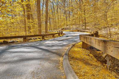 <br />
Winding road scenery from Rock Creek Park in Washington DC, USA. HDR composite from multiple exposures processed with vibrant yellow colors in the foliage for a golden surreal atmosphere.
<br /><br />
Available at web resolution under a Creative Commons license on condition of including credits and a link back to the <b><u><a href='http://freestock.ca/americas_g98-gold_forest_road__hdr_p4612.html' title='Gold Forest Road' target='_blank'>same image</a></u></b> from my sister website <b><u><a href='http://freestock.ca' title='freestock.ca' target='_blank'>freestock.ca</a></u></b>. For purchasing a license of this image at much higher resolution or without credit requirements, please feel free to <b><u><a href='http://somadjinn.com/theme-options/contact/' title='contact' target='_blank'>contact me</a></u></b>, I am open to discuss fair pricing for using my work in a wide variety of applications.