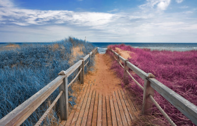 <br />
Wide-angle capture of a beach boardwalk from Prince Edward Island Canada. If memory serves, this place is called Basin Head towards the North-Eastern point of the island. Variant of this previous submission with grass colors split between blue on the left side of the boardwalk and pink on the right. 
<br /><br />
Available at web resolution under a Creative Commons license on condition of including credits and a link back to the <b><u><a href='http://freestock.ca/americas_g98-split_tone_beach_boardwalk__blue_pink_p3970.html' title='Split Tone Beach Boardwalk' target='_blank'>same image</a></u></b> from my sister website <b><u><a href='http://freestock.ca' title='freestock.ca' target='_blank'>freestock.ca</a></u></b>. For purchasing a license of this image at much higher resolution or without credit requirements, please feel free to <b><u><a href='http://somadjinn.com/theme-options/contact/' title='contact' target='_blank'>contact me</a></u></b>, I am open to discuss fair pricing for using my work in a wide variety of applications.