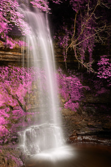 Long exposure photo of Glencar Falls in Ireland. HDR composite from multiple exposures processed with bright pink colors in the a foliage for a more surreal atmosphere.