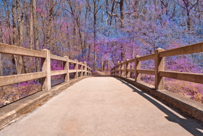 <br/>
Wide-angle bridge leading to a forest in Rock Creek Park in Washington DC, USA. HDR composite from multiple exposures and variant of <b><u><a href='http://freestock.ca/americas_g98-bridge_to_spring__hdr_p4616.html' target='_blank'>this image</a></u></b> processed with a mix of blue & purple colors in the foliage for a more surreal atmosphere.

<br><br>Special thanks to <b><u><a href='http://evelivesey.deviantart.com/' target='_blank'>Eve Livesey</a></u></b> for personally giving me a texture treasure map, and the inspiration it provided to blend the splash of colors :-) Feel free to click her name to visit more of her amazing images from deviantART.

<br><br>Available at web resolution under a Creative Commons license on condition of including credits and a link back to the <b><u><a href='http://freestock.ca/americas_g98-sage_forest_bridge__hdr_p4895.html' title='Sage Forest' target='_blank'>same image</a></u></b> from my sister website <b><u><a href='http://freestock.ca' title='freestock.ca' target='_blank'>freestock.ca</a></u></b>. For purchasing a license of this image at much higher resolution or without credit requirements, please feel free to <b><u><a href='http://somadjinn.com/theme-options/contact/' title='contact' target='_blank'>contact me</a></u></b>, I am open to discuss fair pricing for using my work in a wide variety of applications.