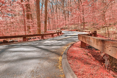 <br/>
Winding road scenery from Rock Creek Park in Washington DC, USA. HDR composite from multiple exposures and processed with bright pink colors in the foliage for a more surreal atmosphere.

<br><br>Available at web resolution under a Creative Commons license on condition of including credits and a link back to the <b><u><a href='http://freestock.ca/americas_g98-opalescent_forest_road__hdr_p4918.html' title='Glowing Amber Forest' target='_blank'>same image</a></u></b> from my sister website <b><u><a href='http://freestock.ca' title='freestock.ca' target='_blank'>freestock.ca</a></u></b>. For purchasing a license of this image at much higher resolution or without credit requirements, please feel free to <b><u><a href='http://somadjinn.com/theme-options/contact/' title='contact' target='_blank'>contact me</a></u></b>, I am open to discuss fair pricing for using my work in a wide variety of applications.