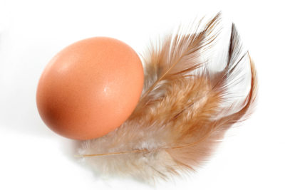 <br />
Egg and feathers isolated on a white background.
<br /><br />
Available at web resolution under a Creative Commons license on condition of including credits and a link back to the <b><u><a href='http://freestock.ca/isolated_g59-egg_feathers_p1668.html' title='Egg & Feathers' target='_blank'>same image</a></u></b> from my sister website <b><u><a href='http://freestock.ca' title='freestock.ca' target='_blank'>freestock.ca</a></u></b>. For purchasing a license of this image at much higher resolution or without credit requirements, please feel free to <b><u><a href='http://somadjinn.com/theme-options/contact/' title='contact' target='_blank'>contact me</a></u></b>, I am open to discuss fair pricing for using my work in a wide variety of applications.
