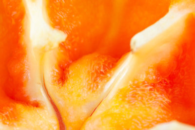 <br />
Macro texture of an orange bell pepper with moderately shallow depth of field.
<br /><br />
Available at web resolution under a Creative Commons license on condition of including credits and a link back to the <b><u><a href='http://freestock.ca/organic_g76-orange_pepper_macro_texture_p2233.html' title='Orange Pepper Macro' target='_blank'>same image</a></u></b> from my sister website <b><u><a href='http://freestock.ca' title='freestock.ca' target='_blank'>freestock.ca</a></u></b>. For purchasing a license of this image at much higher resolution or without credit requirements, please feel free to <b><u><a href='http://somadjinn.com/theme-options/contact/' title='contact' target='_blank'>contact me</a></u></b>, I am open to discuss fair pricing for using my work in a wide variety of applications.