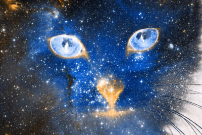 <br />
Photomanipulation combining a gaseous constellation of stars in the night sky, along with a close-up of a cat’s face. 
<br /><br />
<b><u><a href='http://www.publicdomainpictures.net/view-image.php?image=11992&picture=cat-with-green-eyes' title='Cat' target='_blank'>Cat image</a></u></b> is courtesy of Vera Kratochvil via <b><u><a href='http://www.publicdomainpictures.net/' title='PublicDomainPictures.net' target='_blank'>PublicDomainPictures.net</a></u></b> and the <b><u><a href='http://spacetelescope.org/images/heic0502a/' title='Stars' target='_blank'>space image</a></u></b> is courtesy of <b><u><a href='http://www.spacetelescope.org/' title='ESA/Hubble' target='_blank'>ESA/Hubble</a></u></b>, more specifically: 
<b><u><a href='http://www.nasa.gov/' title='NASA' target='_blank'>NASA</a></u></b>, <b><u><a href='http://www.esa.int/ESA' title='ESA' target='_blank'>ESA</a></u></b>, and A. Nota (STScI/ESA) 
<br /><br />
Available at web resolution under a Creative Commons license on condition of including credits and a link back to the <b><u><a href='http://freestock.ca/photomanipulations_g84-cosmic_kitten_p4405.html' title='Cosmic Kitten' target='_blank'>same image</a></u></b> from my sister website <b><u><a href='http://freestock.ca' title='freestock.ca' target='_blank'>freestock.ca</a></u></b>. For purchasing a license of this image at much higher resolution or without credit requirements, please feel free to <b><u><a href='http://somadjinn.com/theme-options/contact/' title='contact' target='_blank'>contact me</a></u></b>, I am open to discuss fair pricing for using my work in a wide variety of applications.