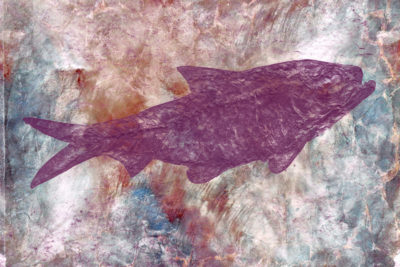 <br />
Photomanipulation combining a personal scan of a knightia fish fossil and an abstract marble skin texture. 
<br /><br />
Special thanks to <b><u><a href='http://marcelabolivar.deviantart.com/' title='Marcela Bolivar' target='_blank'>Marcela Bolivar</a></u></b> for creating the <b><u><a href='http://marcelabolivar.deviantart.com/art/atmosphere-FREE-texture-pack-423576654' title='Texture' target='_blank'>texture</a></u></b> as part of a stock pack. Feel free to click on her name to visit more of her beautiful images from deviantART. 
<br /><br />
Available at web resolution under a Creative Commons license on condition of including credits and a link back to the <b><u><a href='http://freestock.ca/mixed_media_vexels_g100-knightia_fish_fossil__vibrant_marble_skin_p4579.html' title='Marble Skin Fish Fossil' target='_blank'>same image</a></u></b> from my sister website <b><u><a href='http://freestock.ca' title='freestock.ca' target='_blank'>freestock.ca</a></u></b>. For purchasing a license of this image at much higher resolution or without credit requirements, please feel free to <b><u><a href='http://somadjinn.com/theme-options/contact/' title='contact' target='_blank'>contact me</a></u></b>, I am open to discuss fair pricing for using my work in a wide variety of applications.