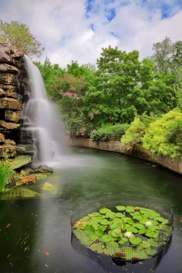 <br />
Long exposure photo from a waterfall at the Washington DC Zoo. Also an HDR composite from multiple exposures.
<br /><br />
Available at web resolution under a Creative Commons license on condition of including credits and a link back to the <b><u><a href='http://freestock.ca/americas_g98-zoo_waterfall__hdr_p4005.html' title='Zoo Waterfall' target='_blank'>same image</a></u></b> from my sister website <b><u><a href='http://freestock.ca' title='freestock.ca' target='_blank'>freestock.ca</a></u></b>. For purchasing a license of this image at much higher resolution or without credit requirements, please feel free to <b><u><a href='http://somadjinn.com/theme-options/contact/' title='contact' target='_blank'>contact me</a></u></b>, I am open to discuss fair pricing for using my work in a wide variety of applications.
