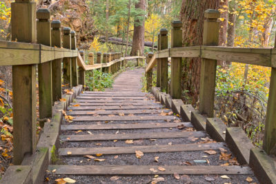 <br/>
Wide-angle photo of a stairway with autumn foliage from Swallow Falls State Park in Maryland, USA. HDR composite from multiple exposures.

<br><br>Available at web resolution under a Creative Commons license on condition of including credits and a link back to the <b><u><a href='http://freestock.ca/americas_g98-swallow_fall_stairway__hdr_p5086.html' title='Swallow Fall Stairway' target='_blank'>same image</a></u></b> from my sister website <b><u><a href='http://freestock.ca' title='freestock.ca' target='_blank'>freestock.ca</a></u></b>. For purchasing a license of this image at much higher resolution or without credit requirements, please feel free to <b><u><a href='http://somadjinn.com/theme-options/contact/' title='contact' target='_blank'>contact me</a></u></b>, I am open to discuss fair pricing for using my work in a wide variety of applications.